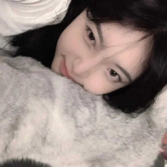 彩虹2015